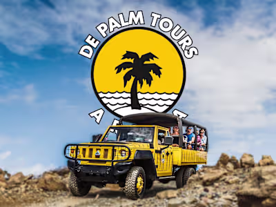 De Palm Tours Visual Identity