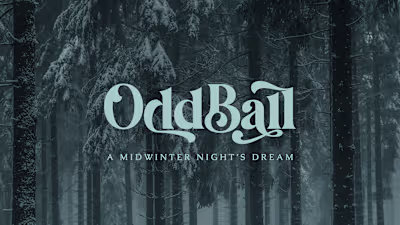 OddBall 2023 // Nonprofit Event Branding :: Behance