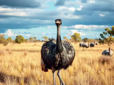 The Great Emu War: How Australia Lost a Battle Against  Birds