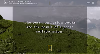 Sally Collings Book Proposal & Development Specialist 