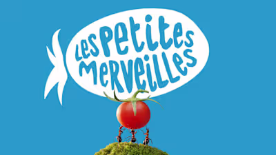 Brand Identity & Packaging