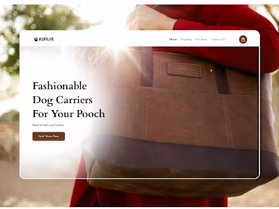 Pet carrier landing page