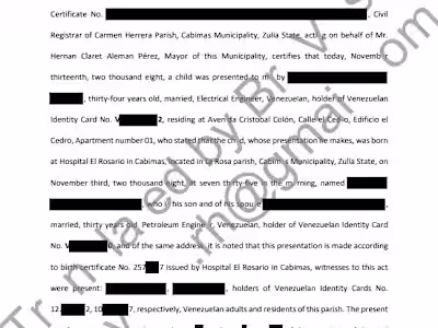 Document Translation