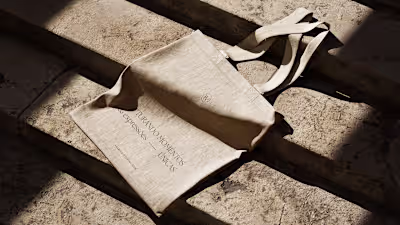  Visual Identity for Yasmin Victorino