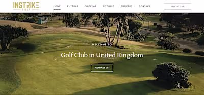 Business  website