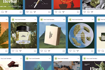 YLC – Social Media Management