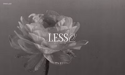 Lesso 🩰 Branding Identity + Web Design 