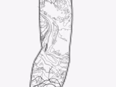 Unfinished Tattoo Sleeve