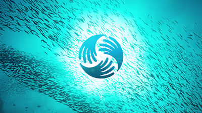 National Ocean Protection Coalition