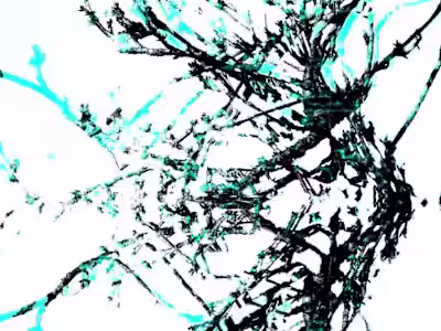 Experience the Emotional Patterns of 'Where Anything is Possibl…