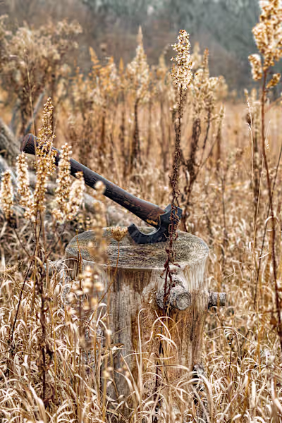 Capturing the Essence of Nature