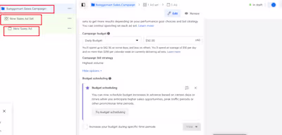 Social Media Ads Campaign