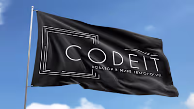 CodeIT Brand Book on Behance