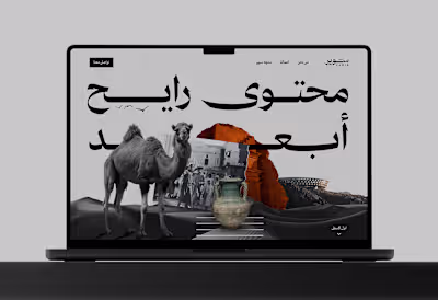 Sawir Agency Website design