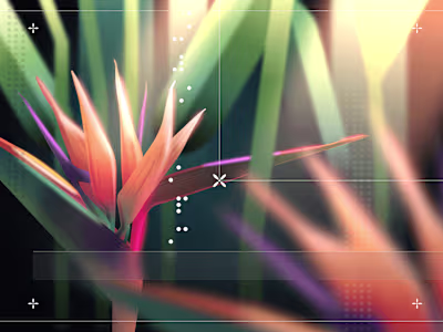 Illustrations for Online Orangery Landing Page Design