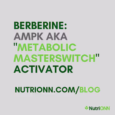 Berberine: AMPK aka “Metabolic Master Switch” Activator