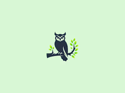 Owl Logo Available For Purchase