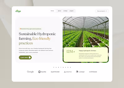 Landing Page Projects
