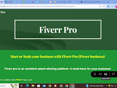 Fiverr Pro