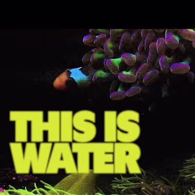 This is water