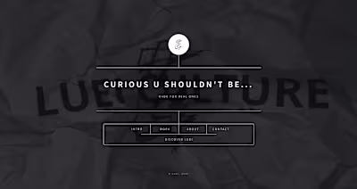 LUEI Culture E-commerce Platform Development