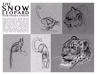 2020 Senior AP Art Area of Concentration Portfolio
