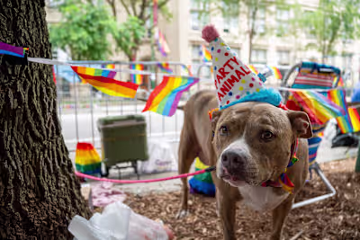 ‘Pride is Power’: Thousands gather at Chicago’s 53rd annual Pr..