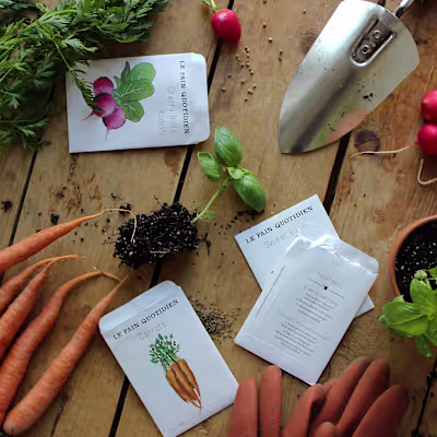 Le Pain Quotidien — printed collateral