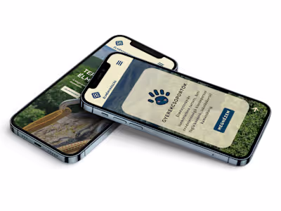 Redesign for a Therapeutic Climbing Association