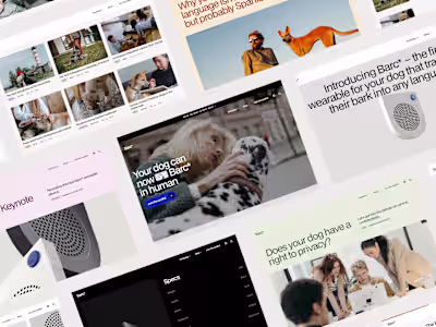 Marketing Site For Barc* Startup
