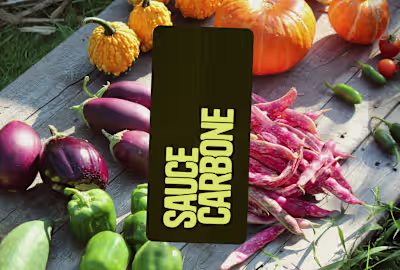 Brand & Website design & development | Sauce Carbone