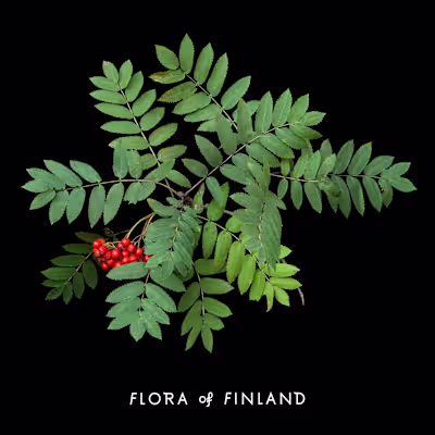 I worked at Flora of