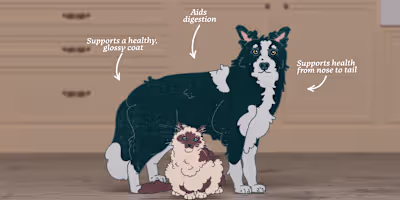 Bella & Duke - From Barn to Board