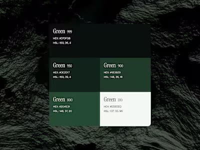 Branding for 2026 - Branding & Colours Highlighting the luxu...