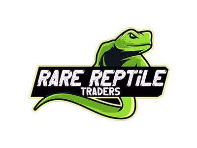 Creating Stunning Logo Designs for Brand Identity