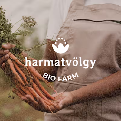 Logo design for a bio farm