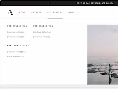 Atlesis | Custom Code Integration