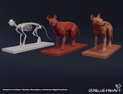 3D Sculptures Portfolio