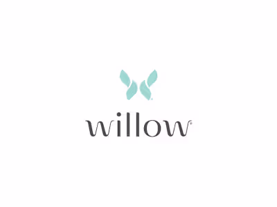 Willow Saves $380k with Salesforce Fractional Team 