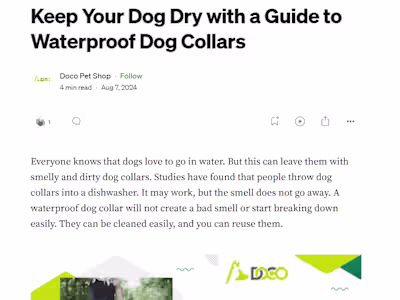 Keep Your Dog Dry with a Guide to Waterproof Dog Collars