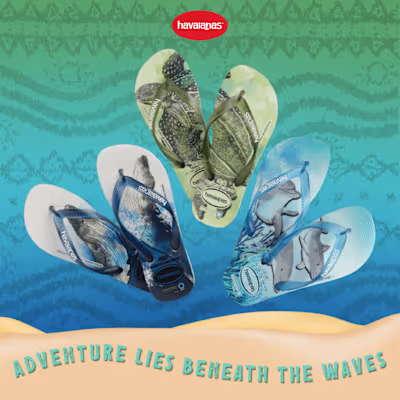 Havaianas Social Media Collaterals