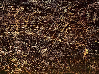 SolidFish: Blogs - Sustainability in the Digital World