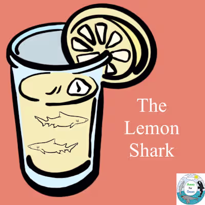 Lemon Shark Social Media Post