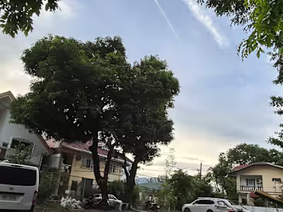 Productivity Crunch *_*