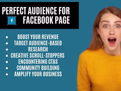 Laser target perfect audience with Facebook ads USA and World