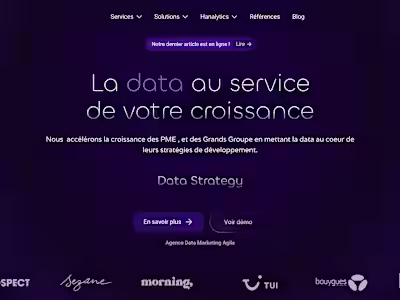Data Hanalytics – La data au service de votre croissance