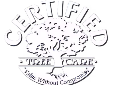 Certified Tree Care - Branding, Web Design & Email Marketing