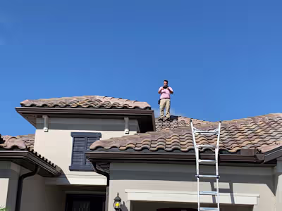 Local Business Website Development