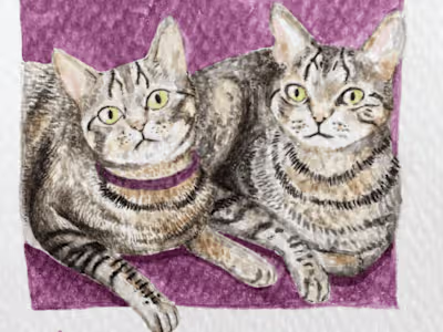 Watercolor pet portraits