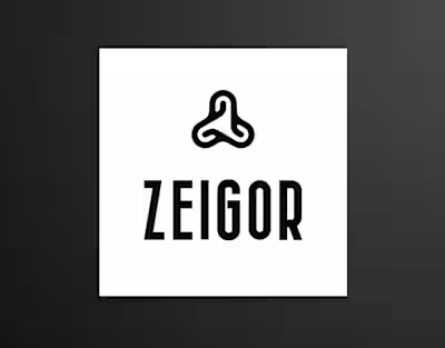 Zeigor - logo design
